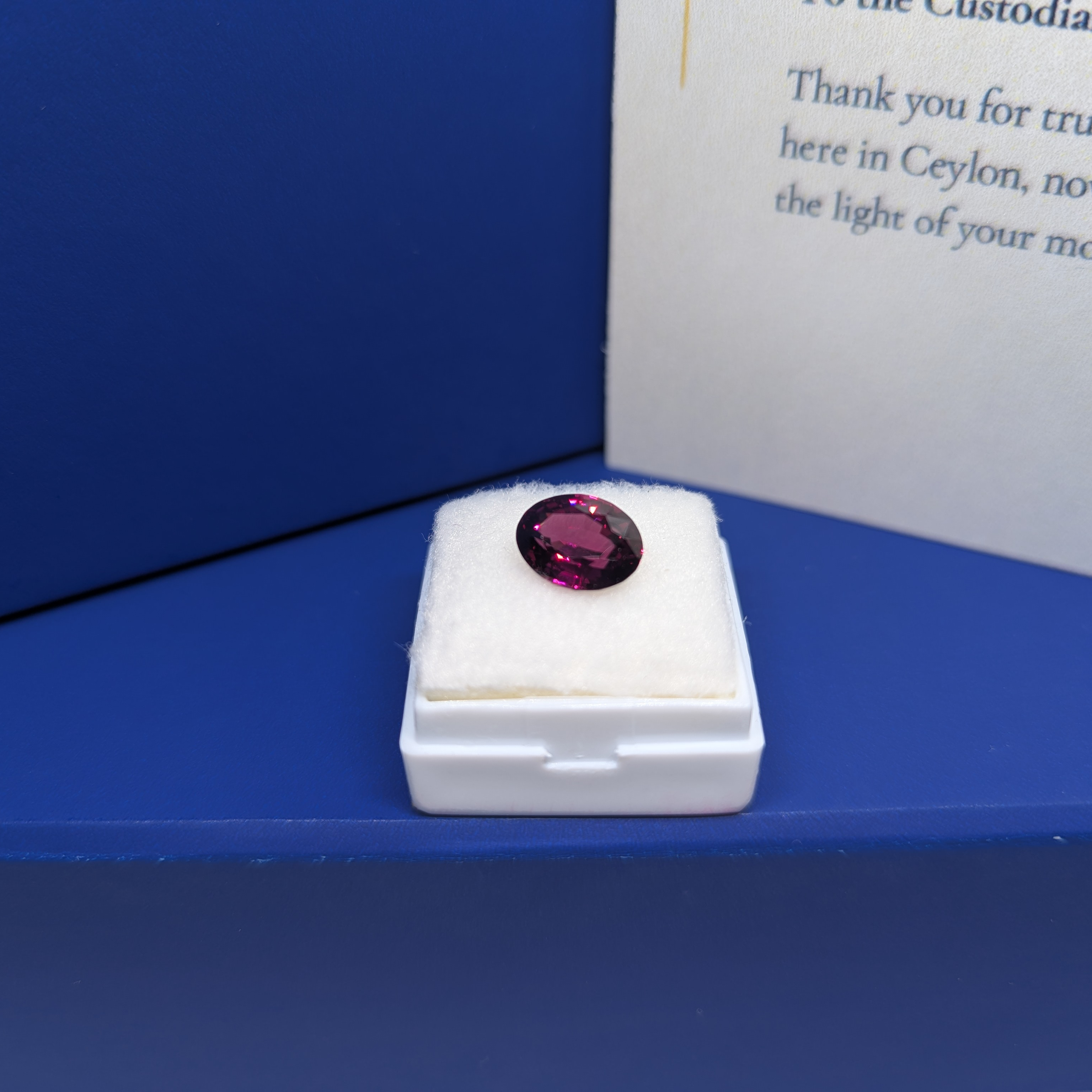 Oval Purple Garnet thumbnail 2