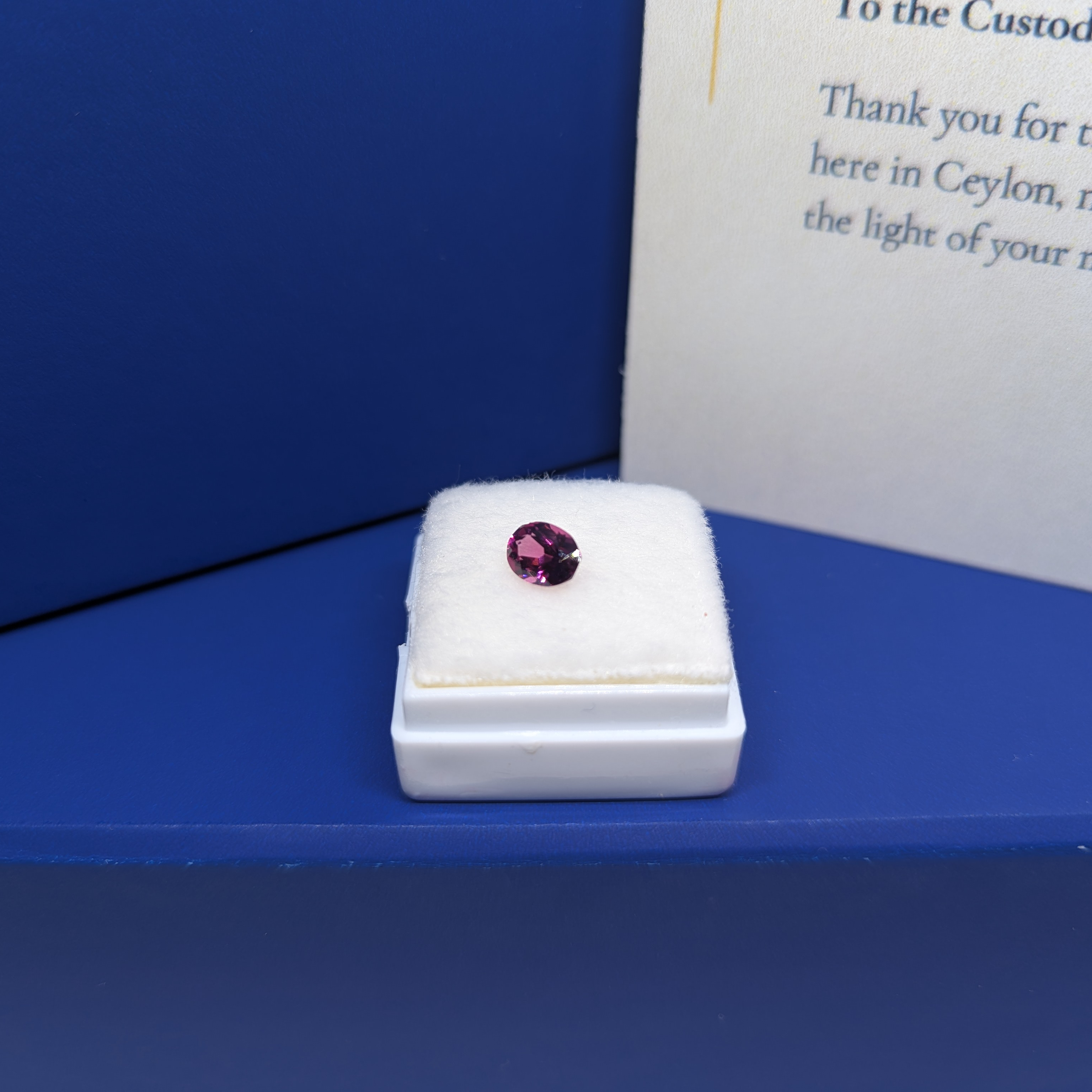 Oval Purple Garnet thumbnail 2