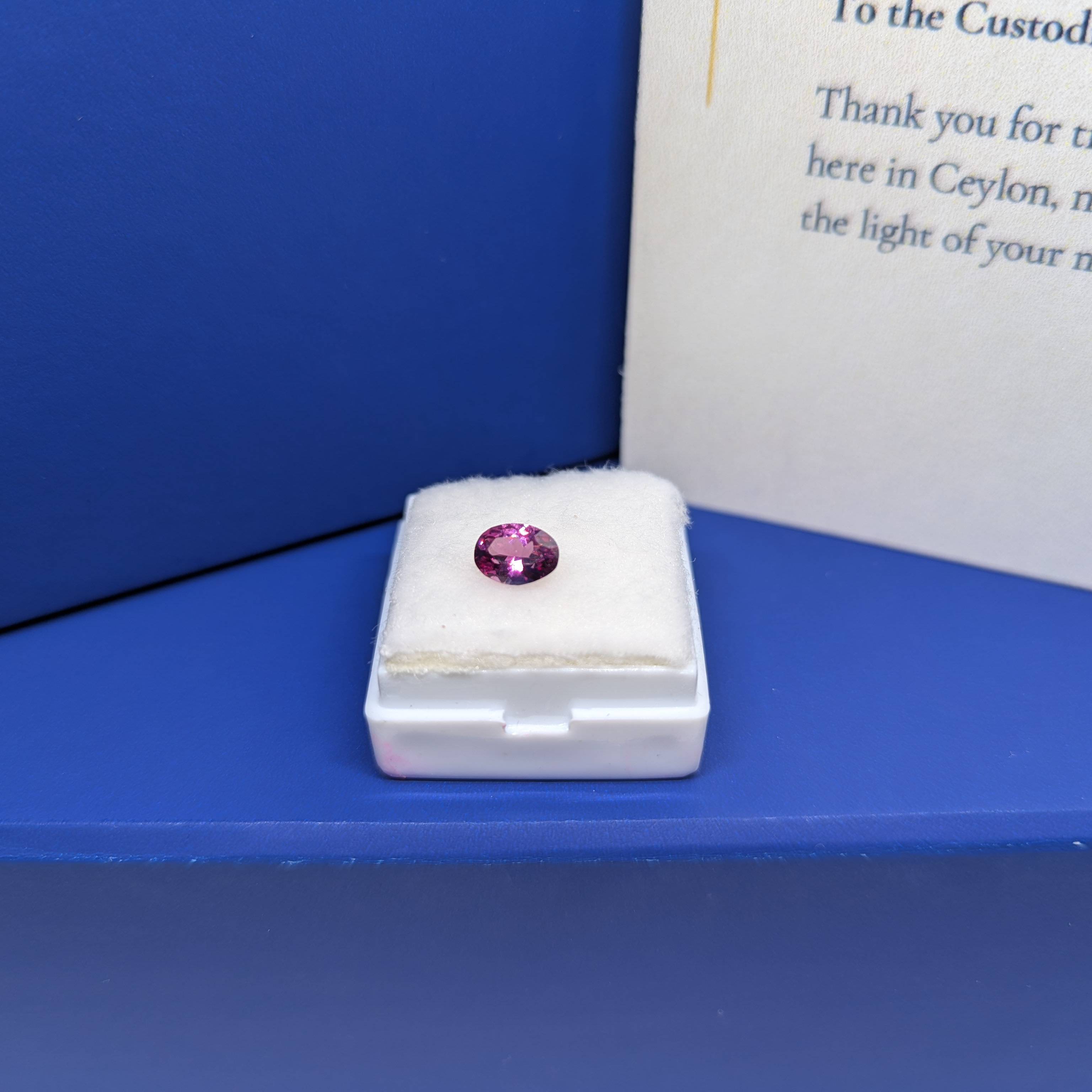 Oval Purple Garnet thumbnail 2